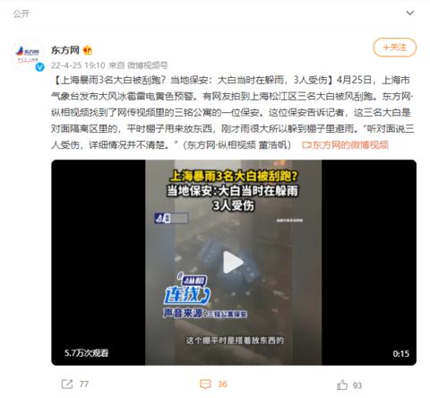 上海暴雨3名大白被刮跑？當(dāng)?shù)乇０玻捍蟀桩?dāng)時(shí)在躲雨，3人受傷