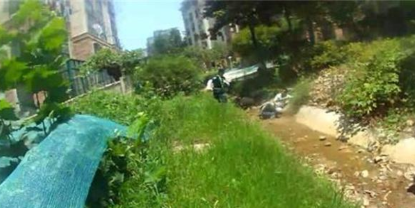 南京一小區(qū)保安勇抓小偷受重傷，業(yè)主自發(fā)捐款 7 萬多元
